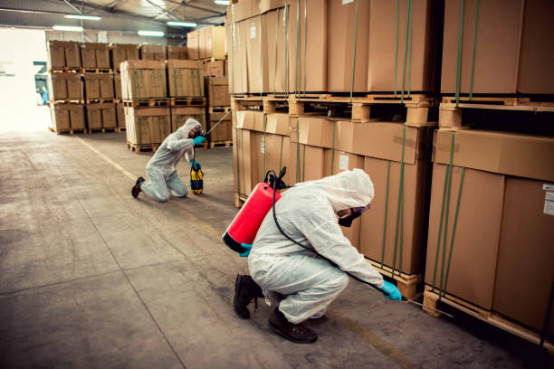 Best Pest Control for Restaurants  in Lihue, HI