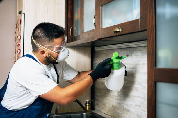 Best Pest Removal Services  in Lihue, HI