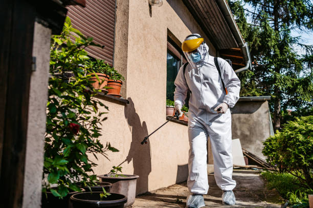 Best Cockroach Control Services  in Lihue, HI