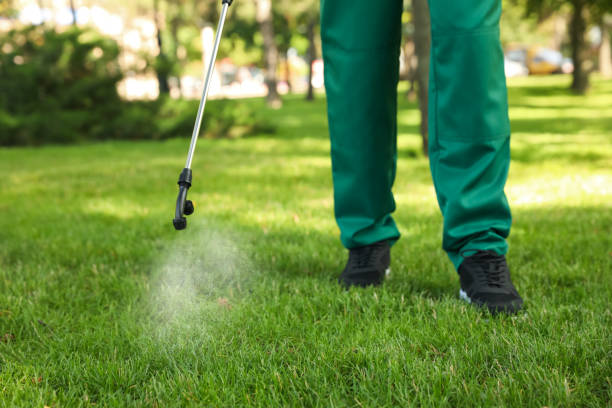 Best Mosquito Control Services  in Lihue, HI